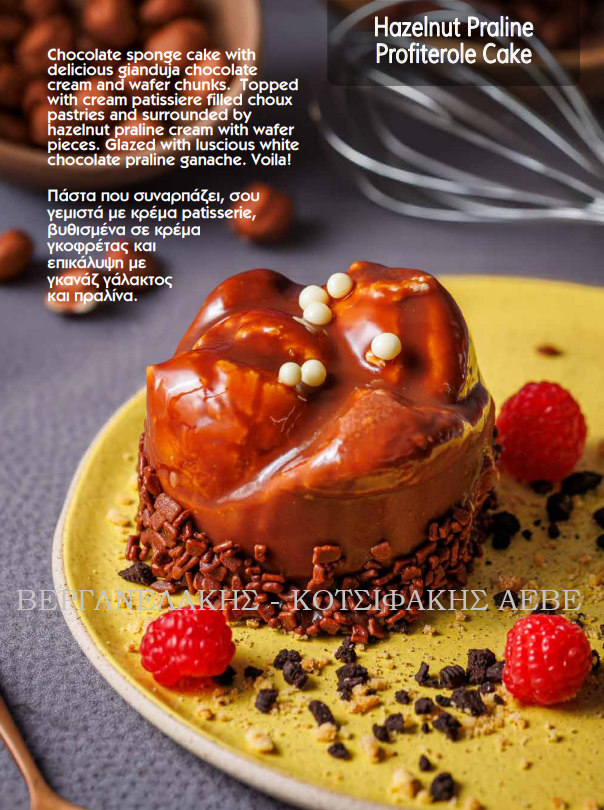 ΠΑΣΤΑ PROFITEROL ME ΛΕΥΚΗ ΠΡΑΛΙΝΑ (12*170 GR)