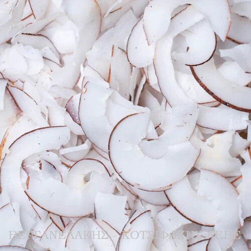 BOTANICA DEHYDRATED COCONUT 100 GR (ΑΠΟΞHΡΑΜΕΝΗ ΚΑΡΥΔΑ)